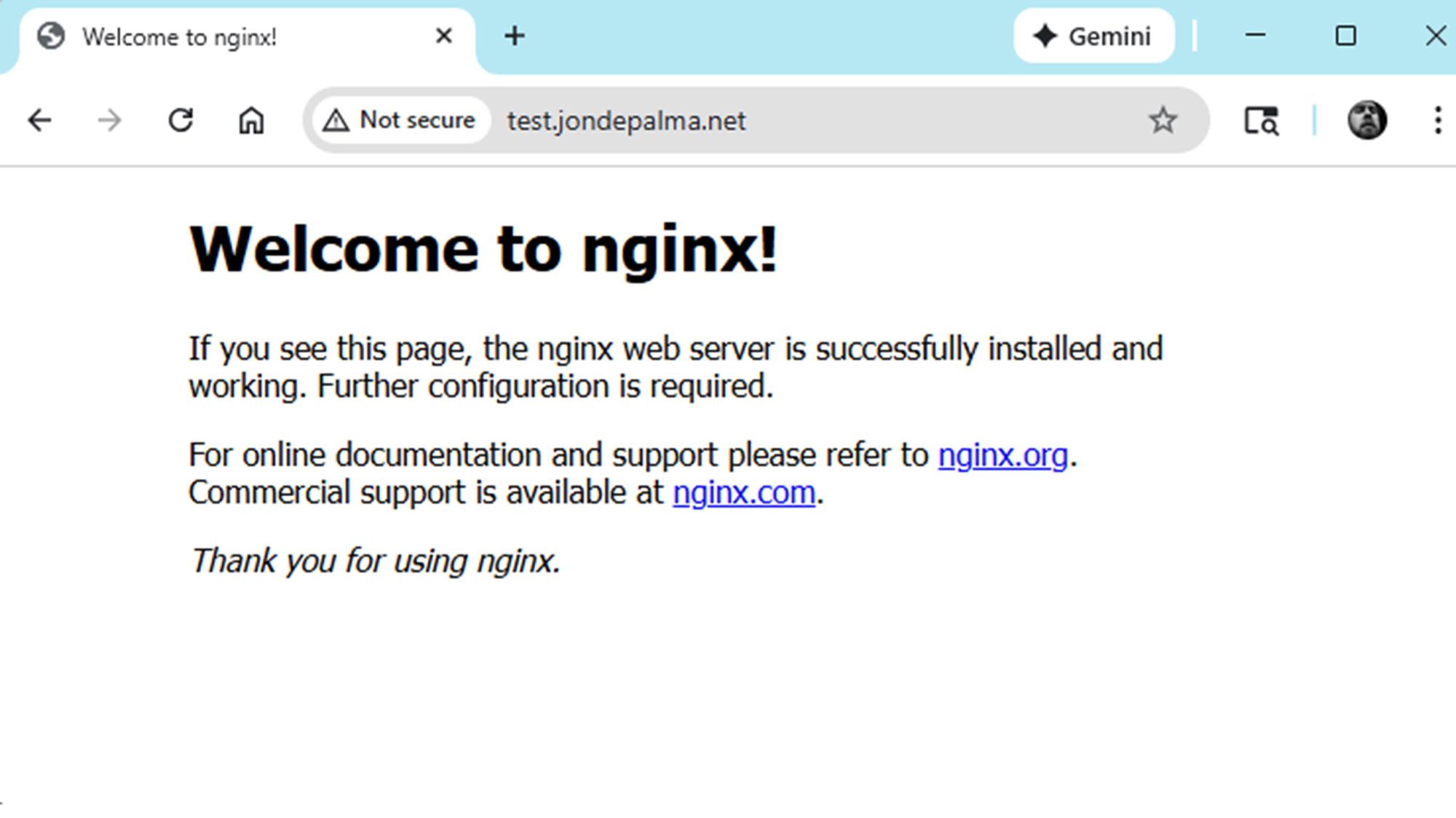 nginx Test Website